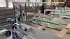 Линия сканирования и вырезки пороков древесины SDC ECO (LC 3800 + OC 5500) — миниатюра 2