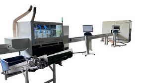 Линия сканирования и вырезки пороков древесины SDC LITE (LC 3500 + OC 5500)